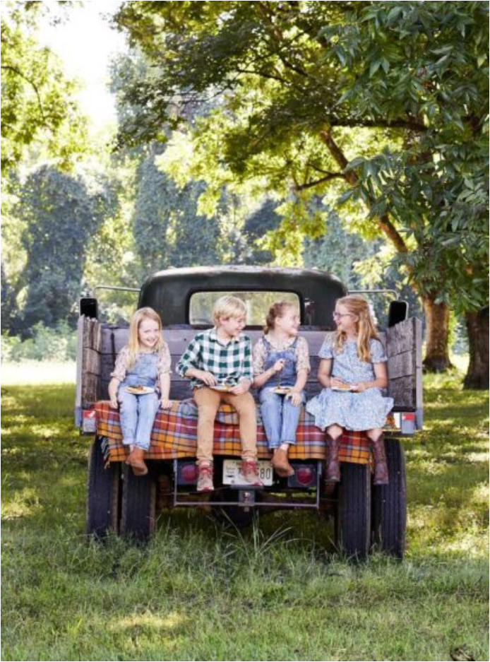 holly williams press